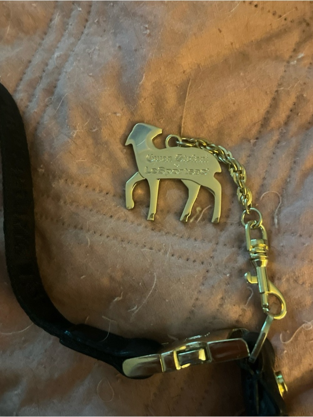 LAMB Lesportsac Ribbon Detail BOW Black Handbag with Gold Tag Accent - Picture 4 of 12